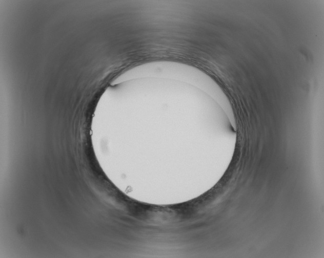 X0000111950215200909071326