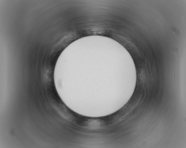 X0000111950218200909071326
