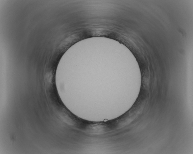 X0000111950219200909071326