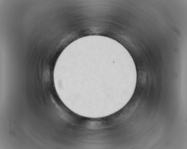 X0000111950220200909071326