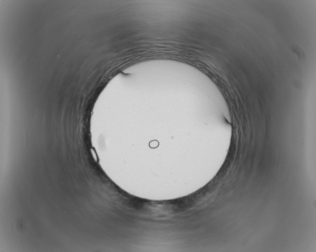 X0000111950221200909071326