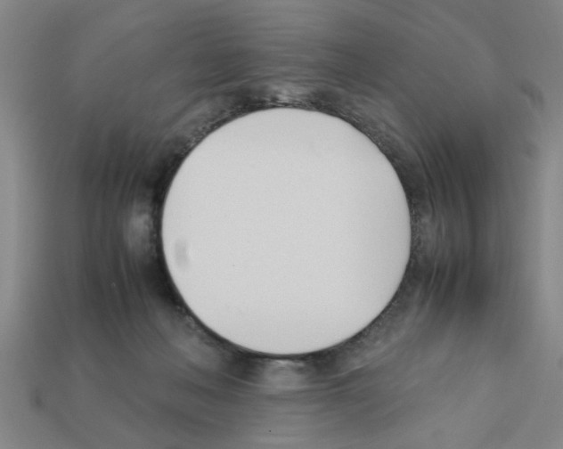 X0000111950222200909071326