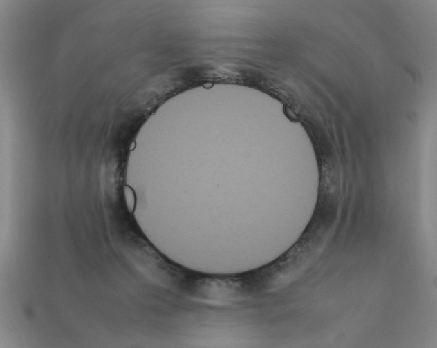 X0000111950223200909071326