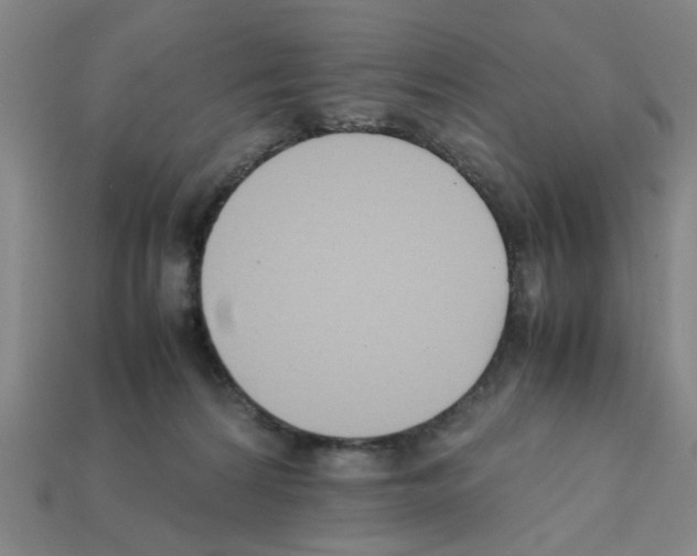 X0000111950224200909071326