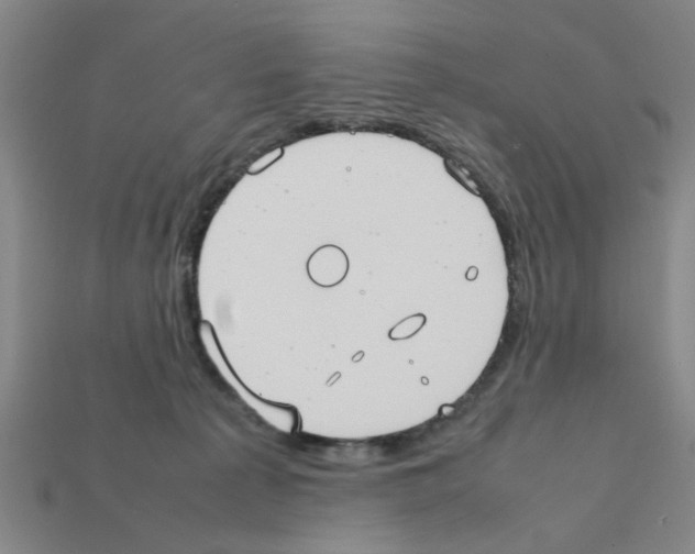 X0000111950225200909071326