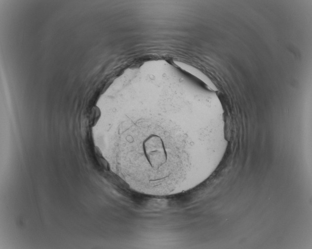 X0000111950227200909071326