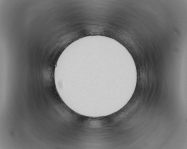 X0000111950228200909071326