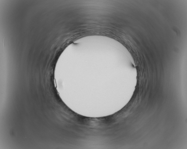 X0000111950229200909071326