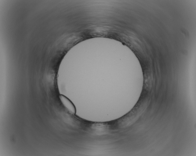 X0000111950231200909071326