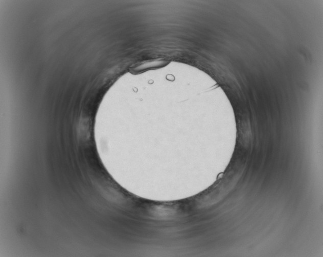 X0000111950232200909071326