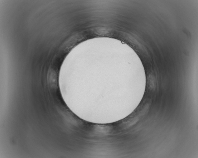 X0000111950234200909071326