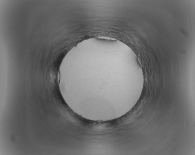 X0000111950235200909071326