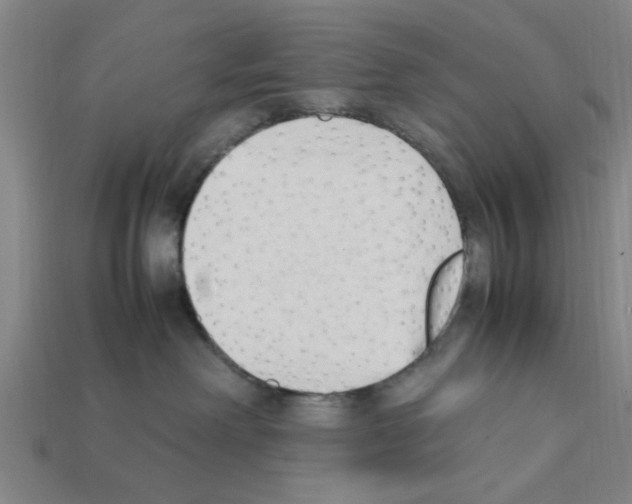 X0000111950238200909071326