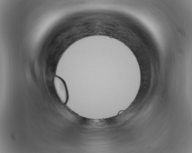 X0000111950239200909071326