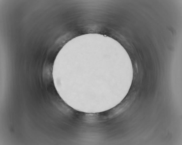 X0000111950240200909071326