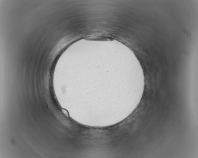 X0000111950242200909071325