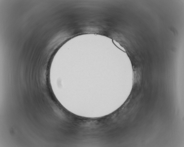 X0000111950243200909071325