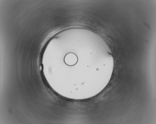X0000111950244200909071325