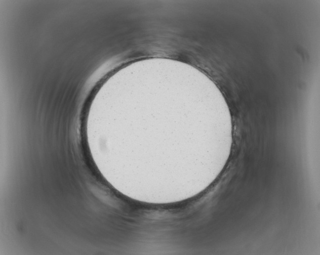 X0000111950246200909071325