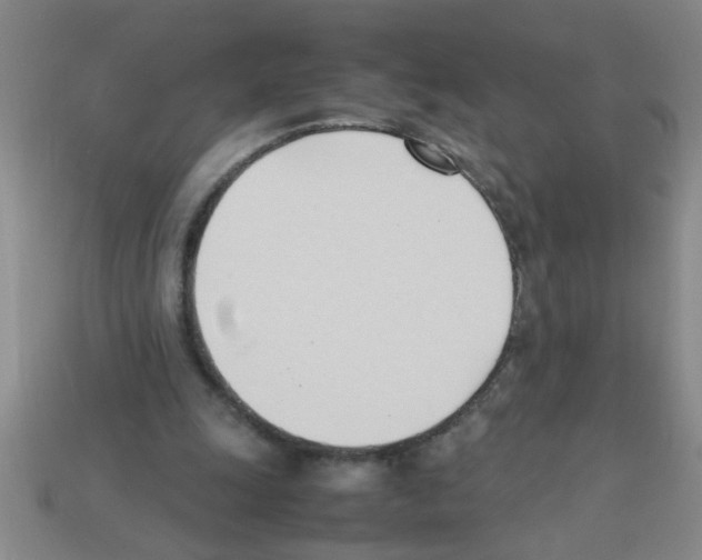 X0000111950247200909071325
