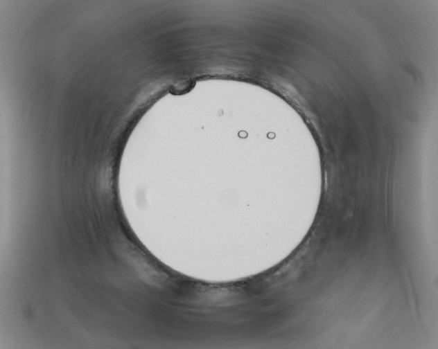 X0000111950249200909071325