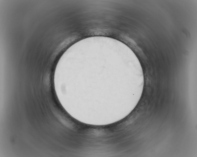 X0000111950250200909071325