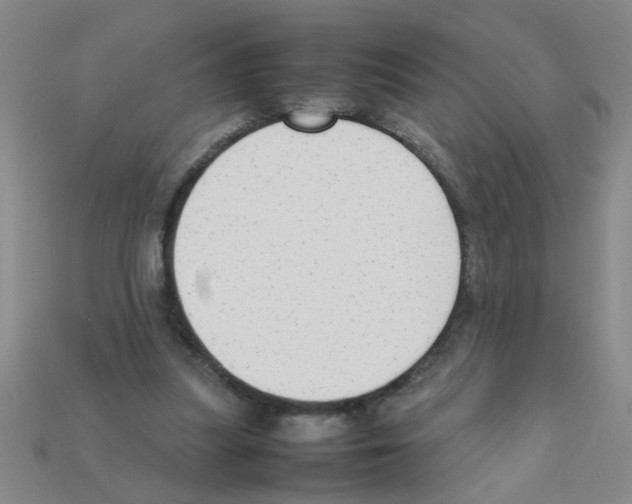 X0000111950251200909071325
