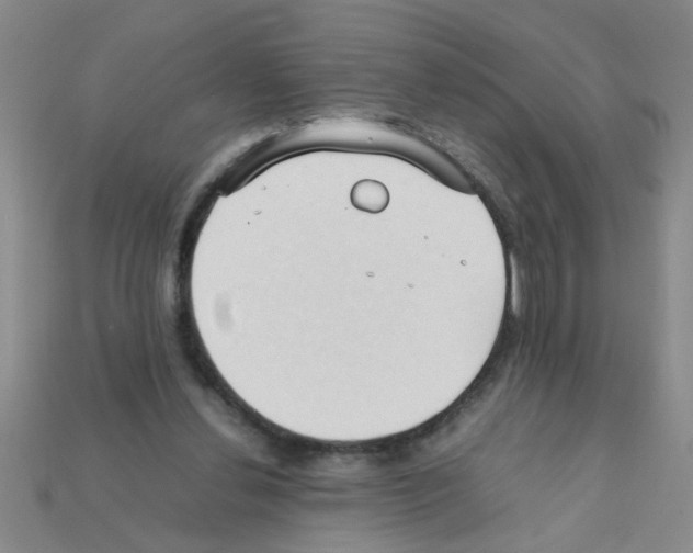 X0000111950252200909071325