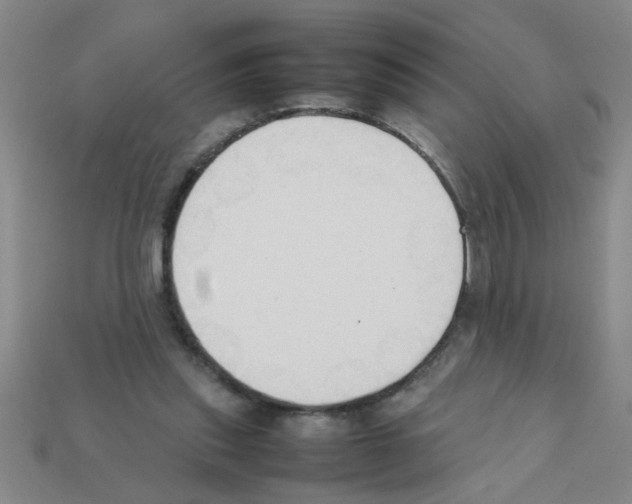 X0000111950253200909071325