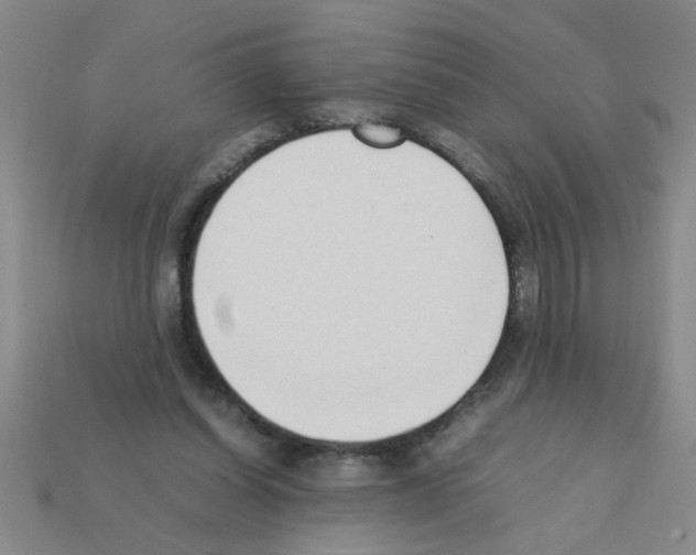 X0000111950254200909071325