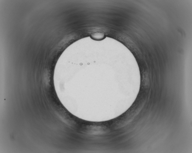 X0000111950255200909071325
