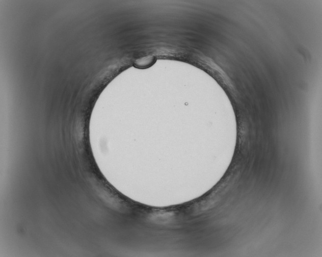 X0000111950257200909071325