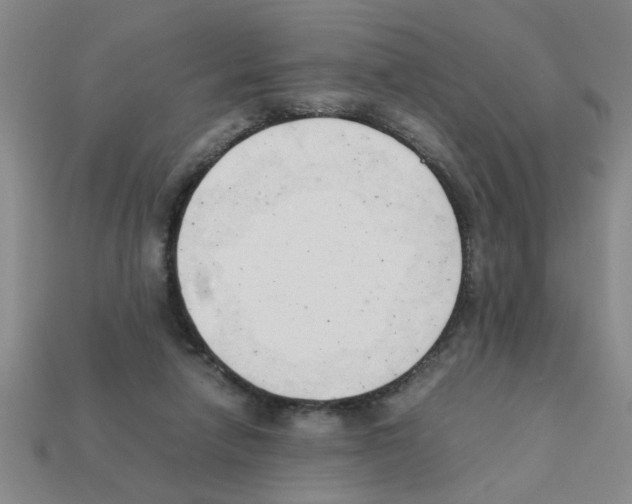 X0000111950258200909071325