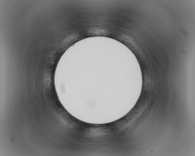 X0000111950259200909071325