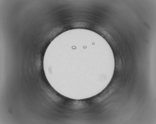 X0000111950261200909071325