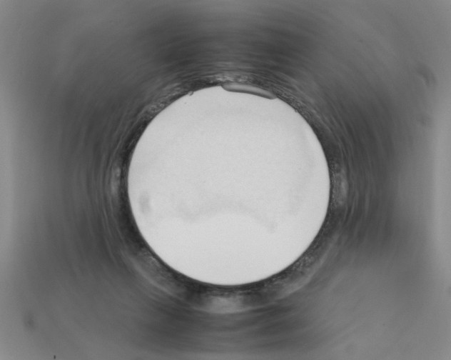 X0000111950263200909071325