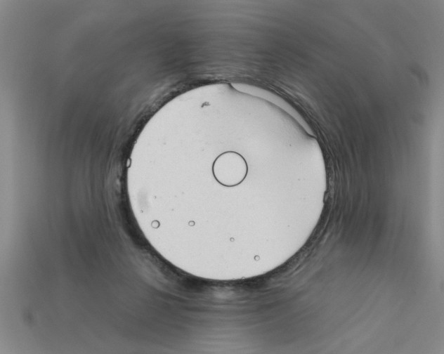 X0000111950264200909071325