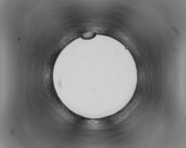X0000111950265200909071325