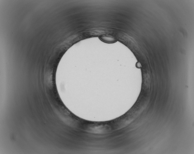 X0000111950267200909071325