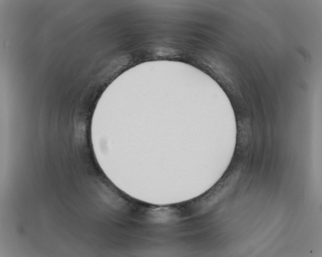 X0000111950269200909071326