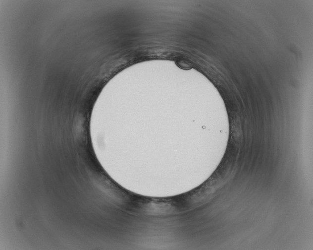 X0000111950270200909071326