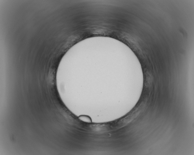X0000111950273200909071326