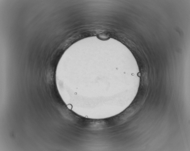 X0000111950274200909071326