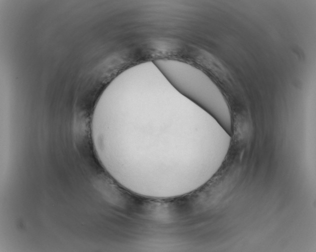 X0000111950276200909071326