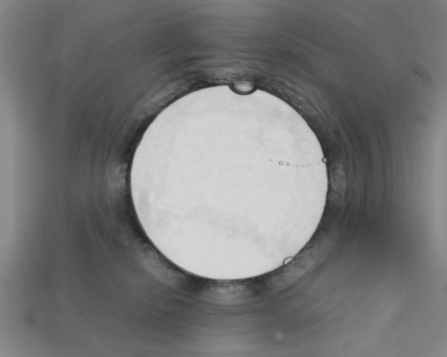 X0000111950278200909071326