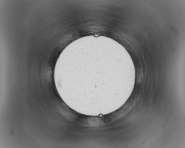 X0000111950279200909071326