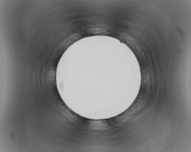 X0000111950281200909071326