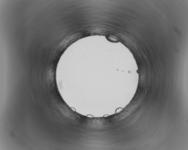 X0000111950282200909071326