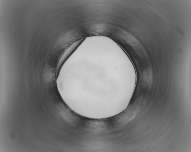 X0000111950284200909071326