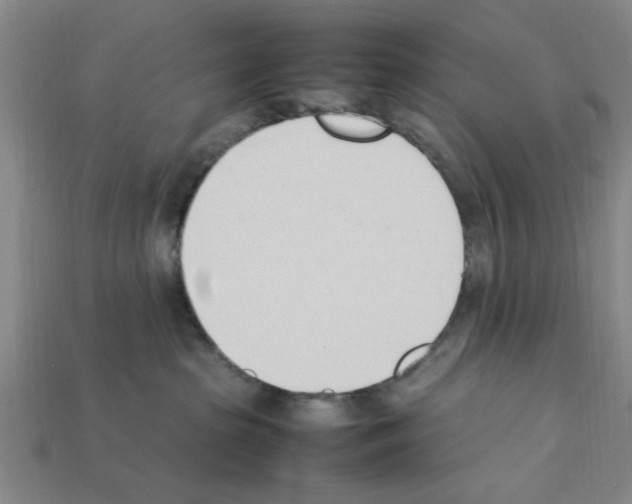 X0000111950285200909071326